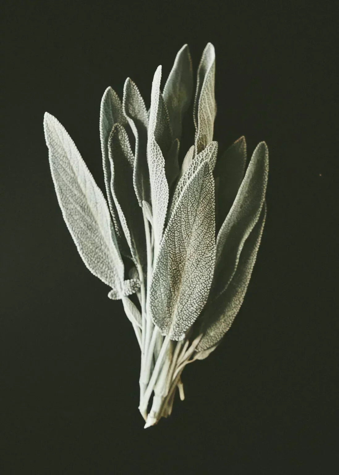 Remèdes naturels bouffées de chaleur | Athana